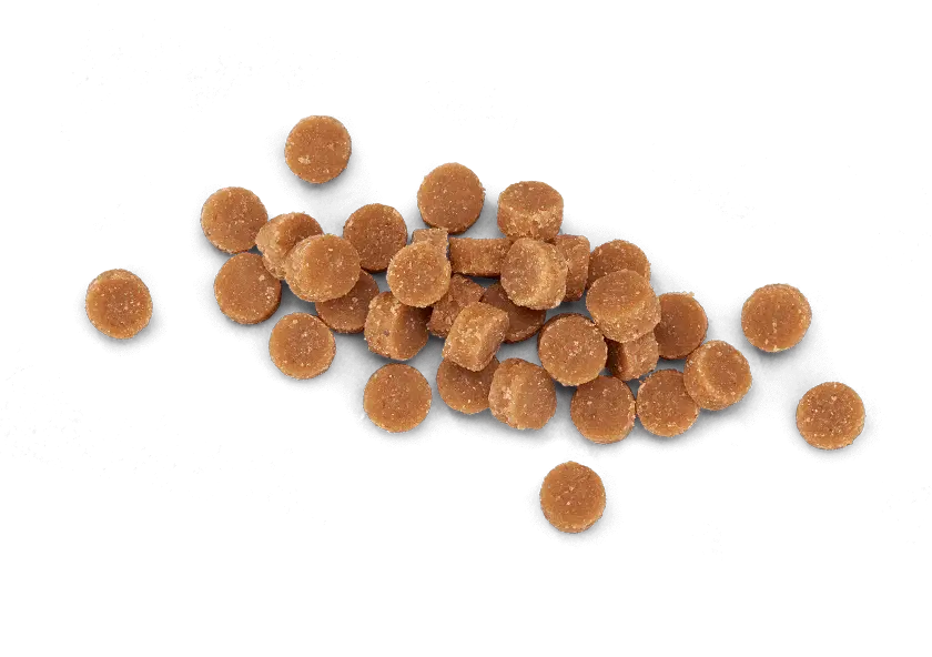 Tiki Cat Soft & Chewy Mini Treats Chicken Flavor Kitten - 2oz