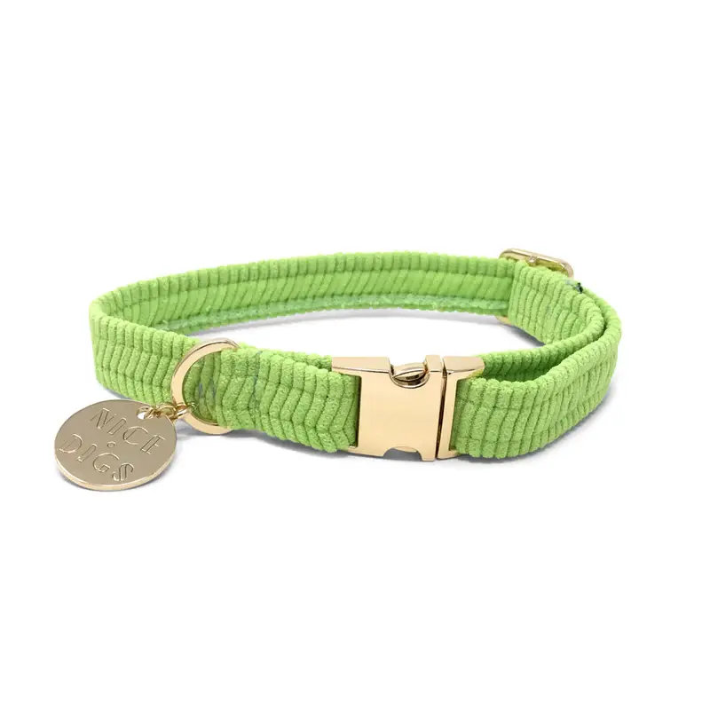 Nice Digs Cord Dog Collar - Splice