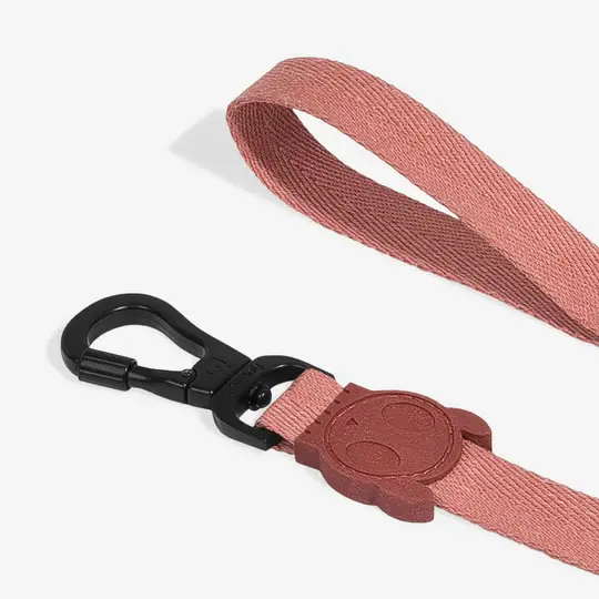 Zee Dog Regular Leash Canyon- Small