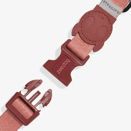 Zee Dog Regular Collar Canyon- Small