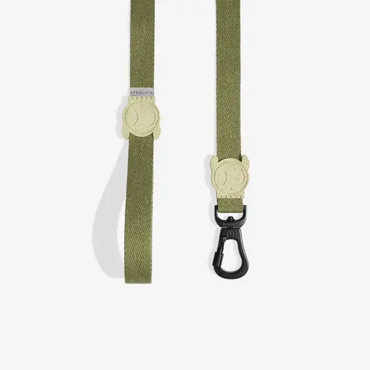 Zee Dog Regular Leash Moss- Small