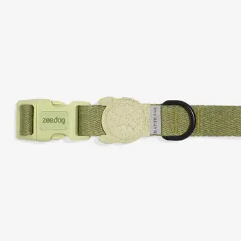 Zee Dog Regular Collar Moss- Large
