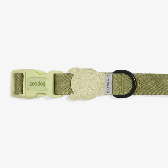 Zee Dog Regular Collar Moss- Large