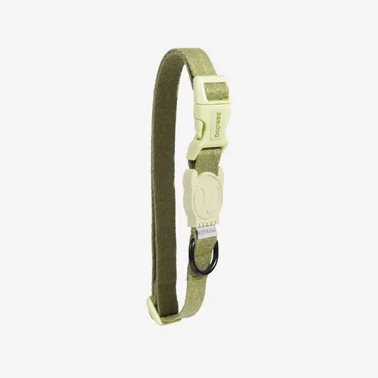 Zee Dog Regular Collar Moss- Large