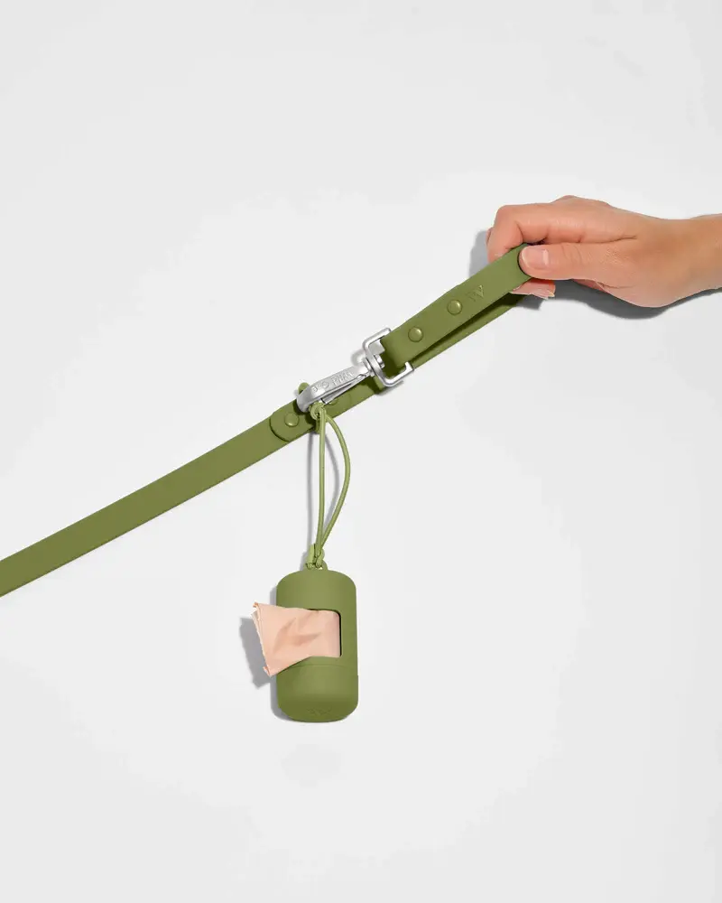 Wild One Small Leash: Moss