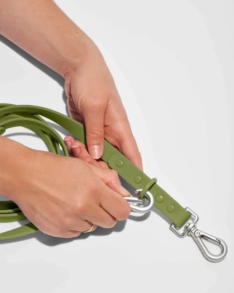 Wild One Small Leash: Moss