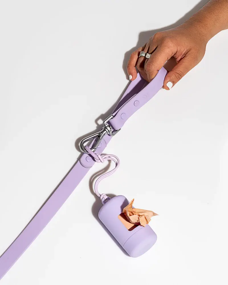 Wild One Leash - Lilac Standard