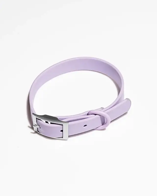 Wild One Wild One Collar - Lilac