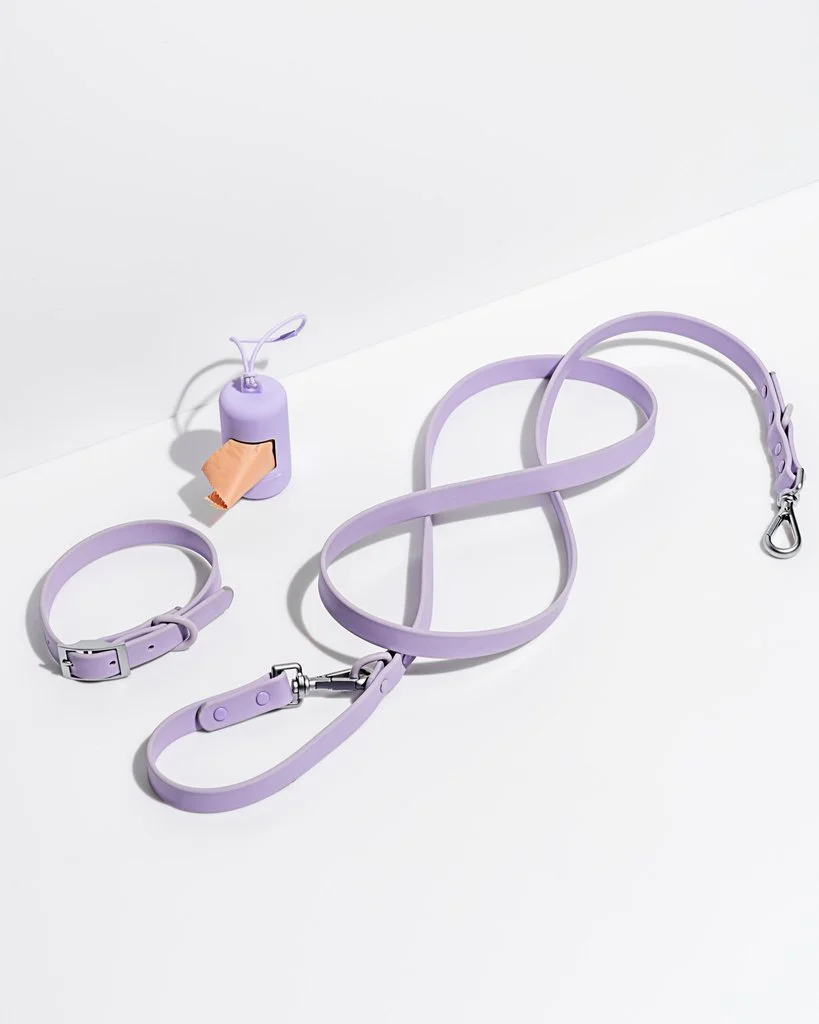 Wild One Dog Leash Lilac - Small