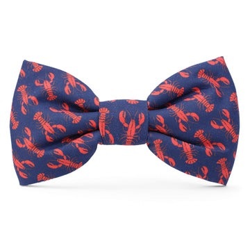 The Foggy Dog Dog Bow Tie