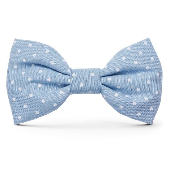 The Foggy Dog Dog Bow Tie