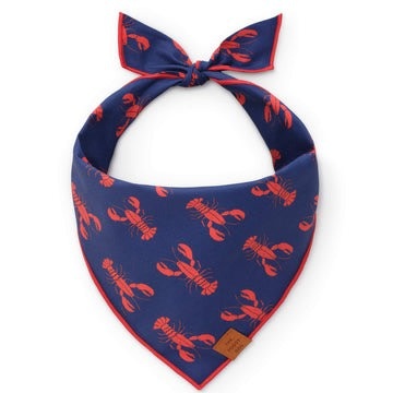 The Foggy Dog Pet Bandana