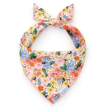 The Foggy Dog Pet Bandana