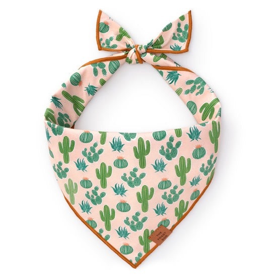 The Foggy Dog Pet Bandana