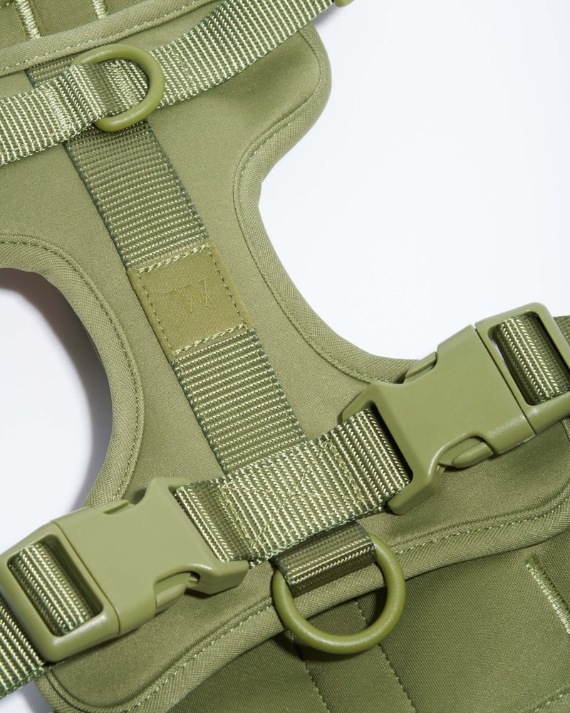 Wild One Harness - Moss