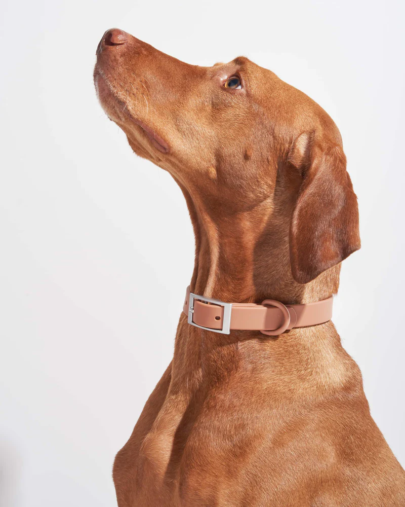 Wild One Collar - Cocoa