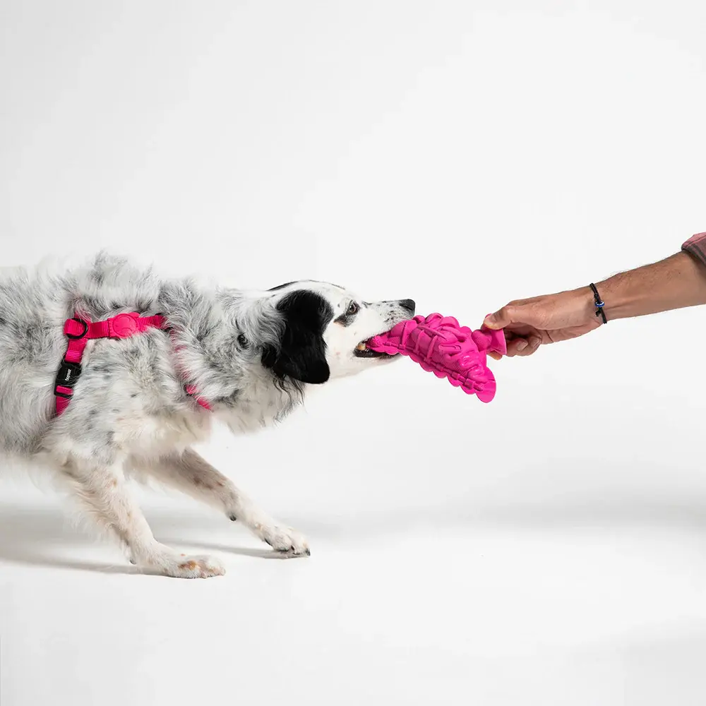 Zee Dog Staple Pigeon Rubber Toy