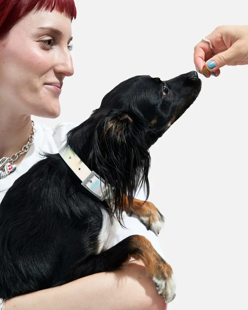 Wild One Collar Holographic Lunar