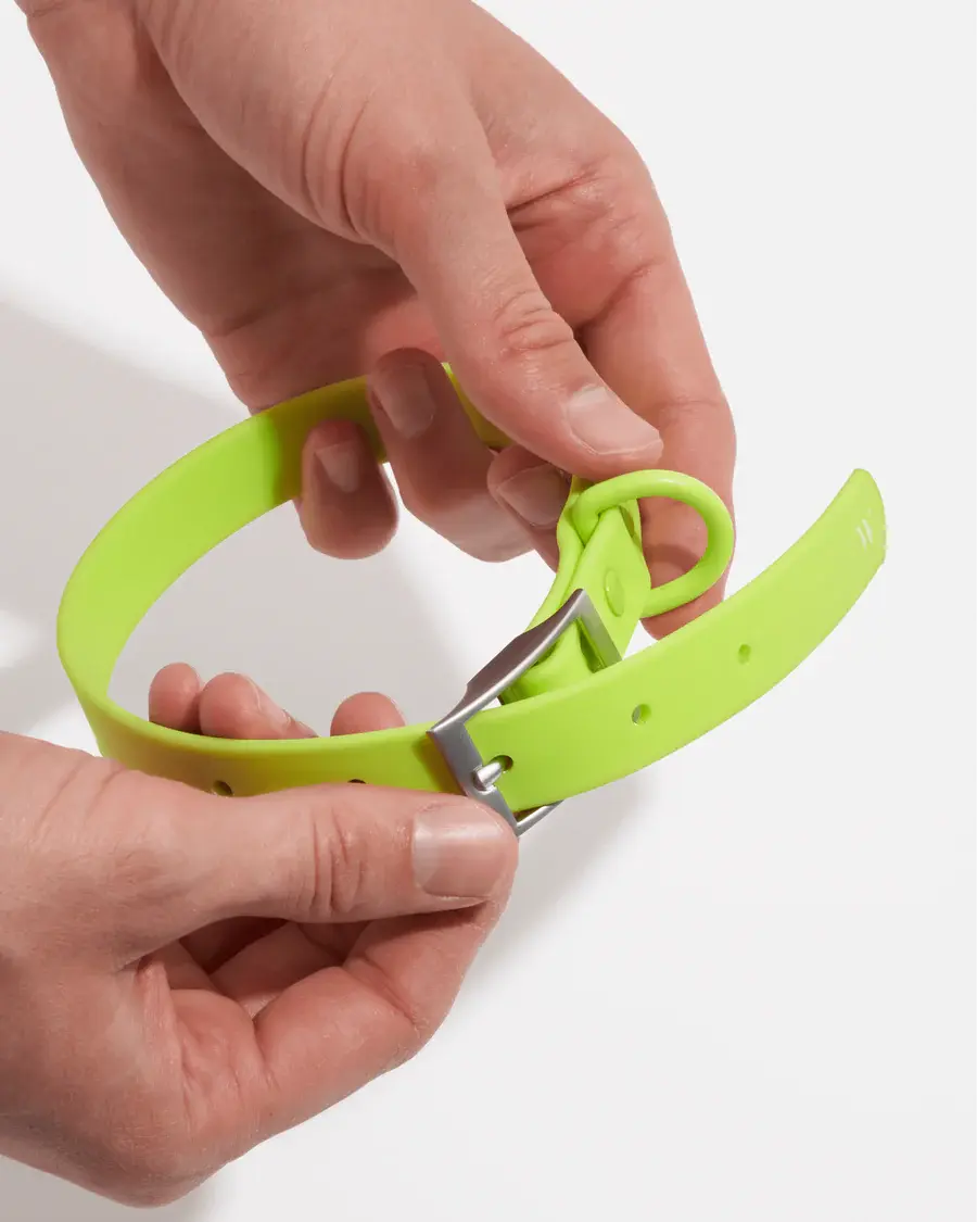 Wild One Collar -Limeade Neon Green