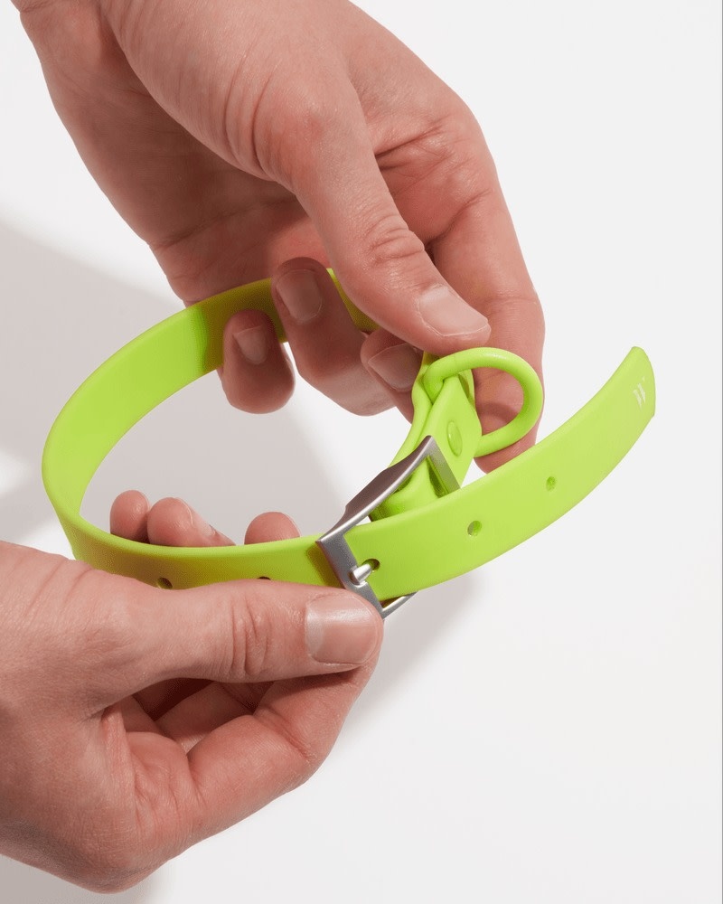 Wild One Collar -Limeade Neon Green