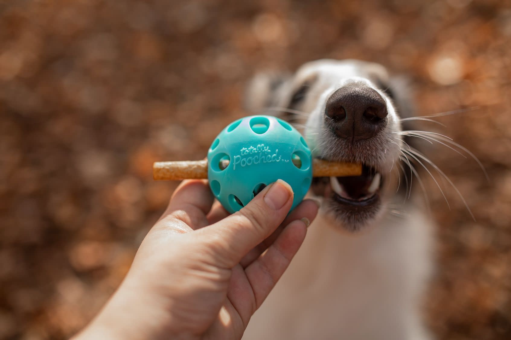 Messy Mutts Totally Pooched- Huff'n Puff Ball Teal 3"