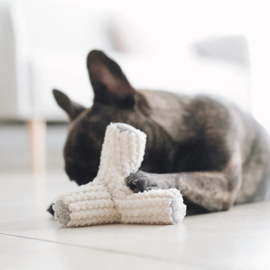 Lambwolf Collective Plush Breuer Squeaky & Crinkle - Cream