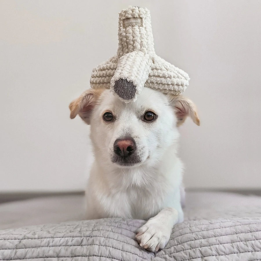 Lambwolf Collective Plush Breuer Squeaky & Crinkle - Cream