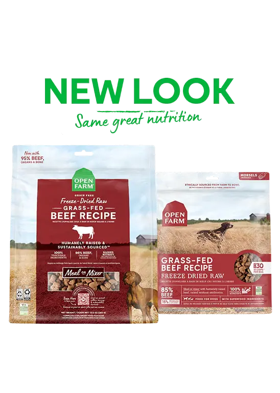 Open Farm Grass-Fed Beef Freeze-Dried Raw Dog Food