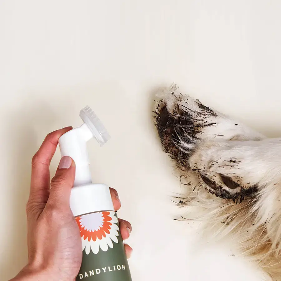 Dandylion Clean Paws No-Rinse Foaming Cleanser For Dogs- 5 oz / 150 ml
