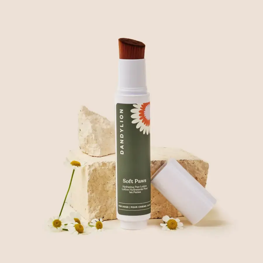 Dandylion Soft Paws Hydrating Paw Lotion for Dogs