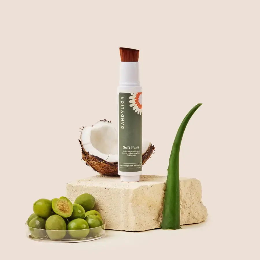 Dandylion Soft Paws Hydrating Paw Lotion for Dogs