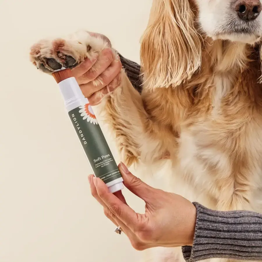 Dandylion Soft Paws Hydrating Paw Lotion for Dogs