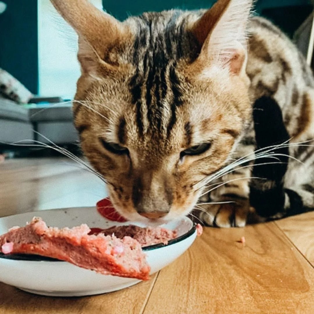 Faim Museau Duck & Beef for cats 6lb