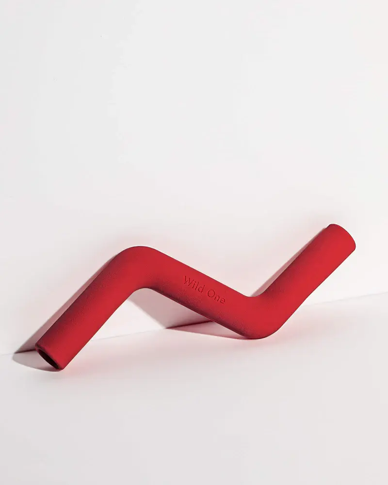 Wild One Bolt Bite Chew Toy - Strawberry Standard