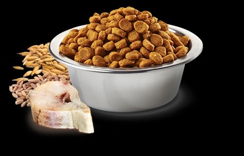 Farmina N&D Cod, spelt, oats and orange recipe Med/Maxi 5.5lb