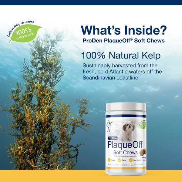 PlaqueOff PlaqueOff Soft Chew- For Small and Medium Dogs- (90ct)