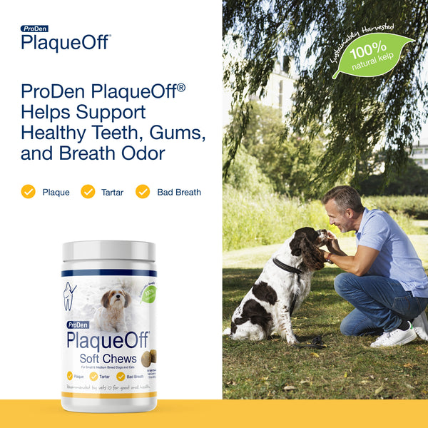 PlaqueOff PlaqueOff Soft Chew- For Small and Medium Dogs- (90ct)