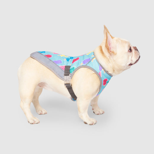 Canada Pooch Chill Seeker Cooling Vest Popsicle