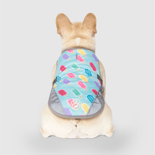 Canada Pooch Chill Seeker Cooling Vest Popsicle