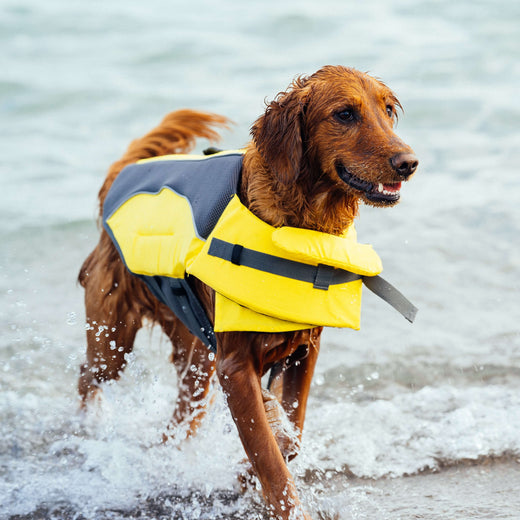 Canada Pooch Wave Rider Life Vest Yellow