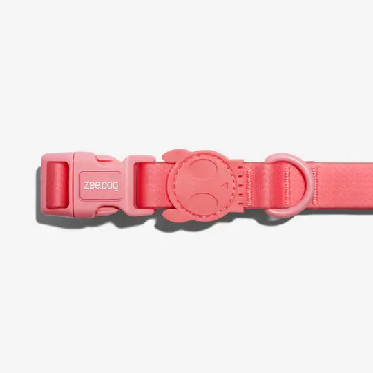 zeedog Neopro Collar - Bubblegum
