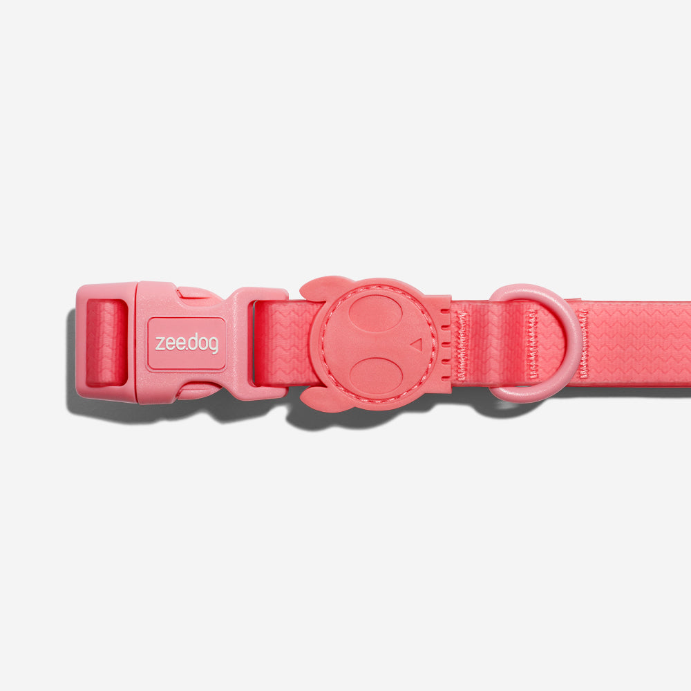 zeedog Neopro Collar - Bubblegum