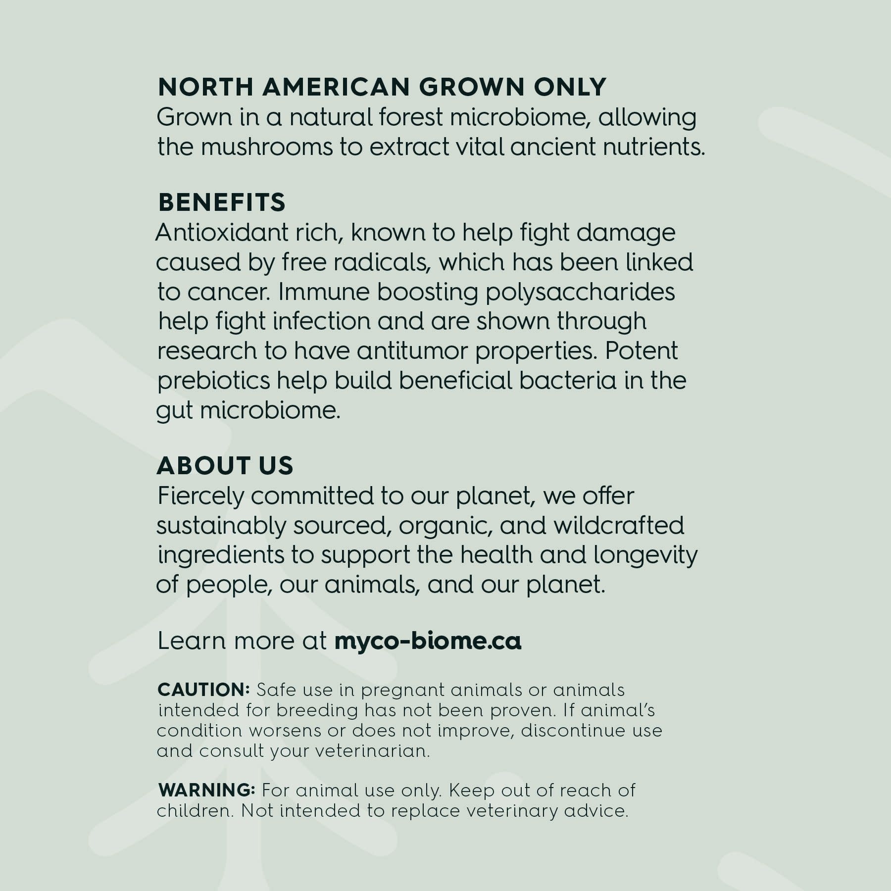 Adored Beast Apothecary Turkey Tail Mushrooms