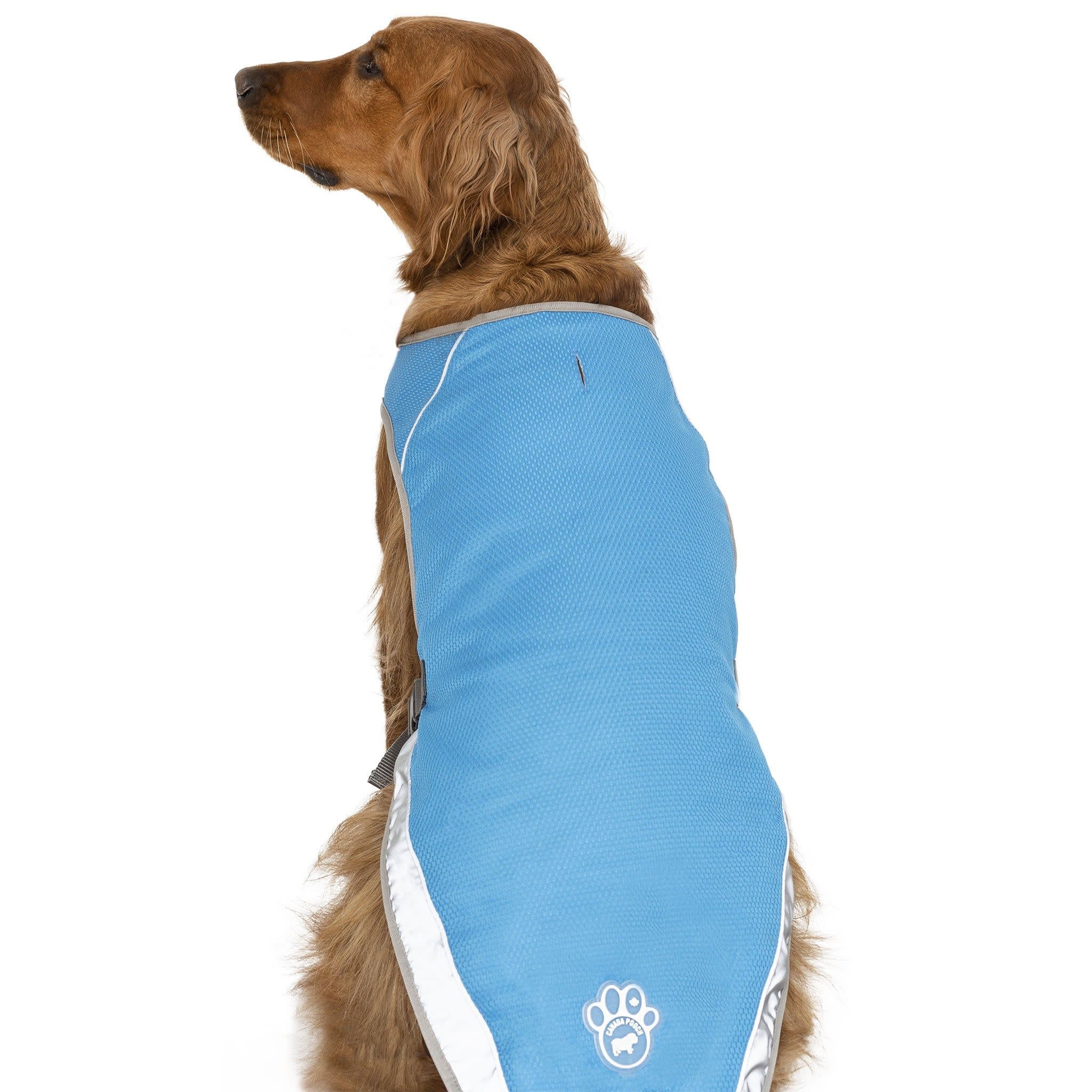 Canada Pooch Chill Seeker Cooling Vest Aqua