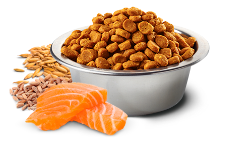 Farmina N&d Tropical Selection Dog Salmon, Spelt and Oats,  Mini 11Lb