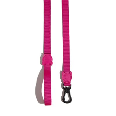 Zee Dog Leash Pink LED