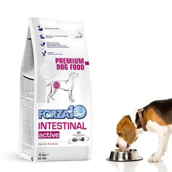 Forza Forza 10 Intestinal Active Dog 22lb