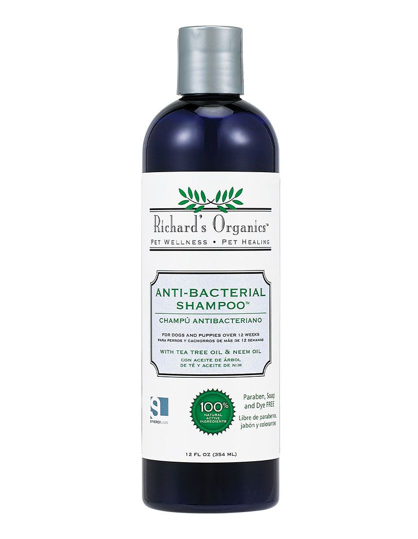 Synergy Labs Richards Organics Shampoo for Dogs 12oz -