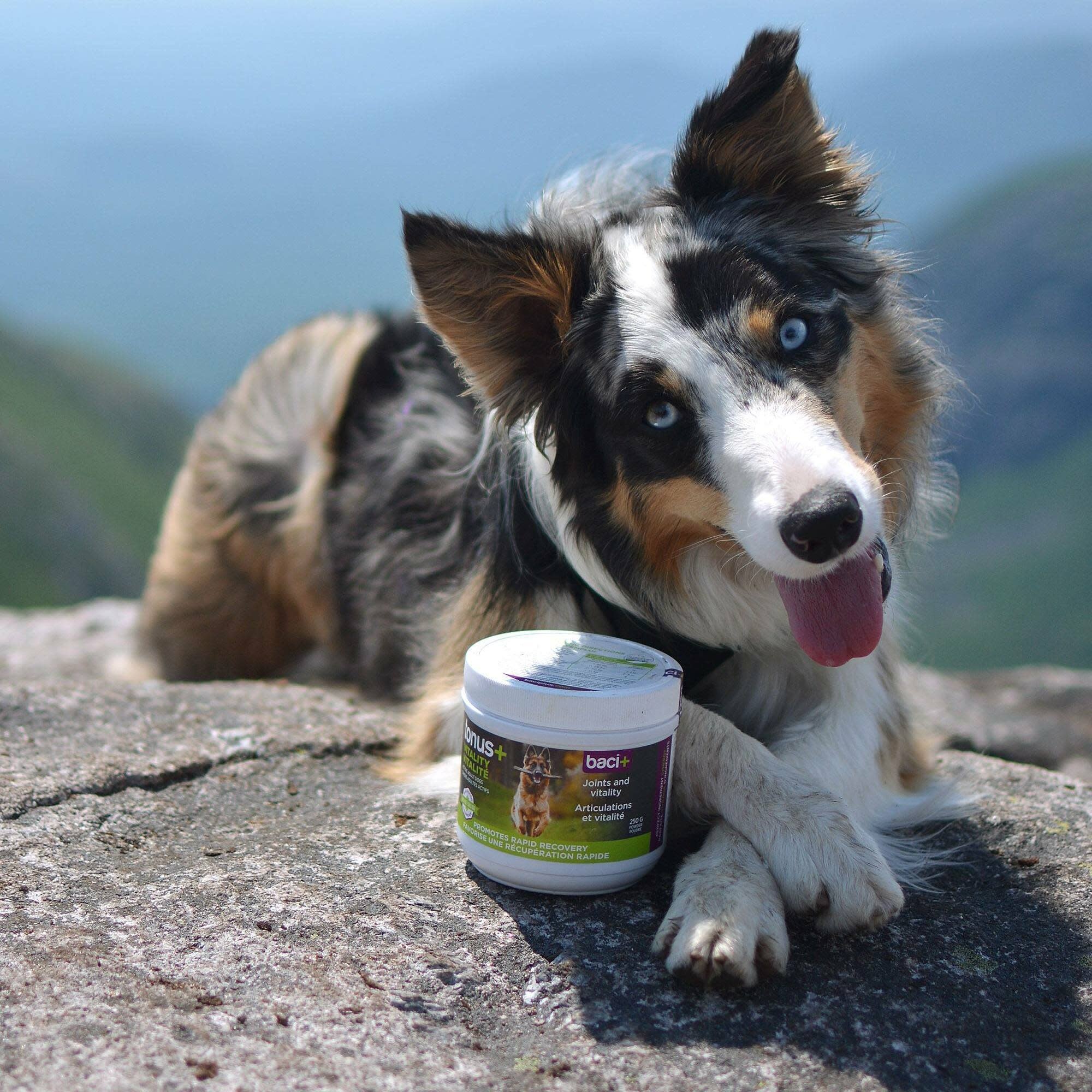 Baci+ Baci Tonus+ Joints & Vitality Dog - 250g