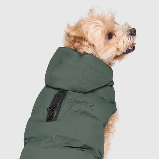 Canada Pooch Waterproof Puffer - Green